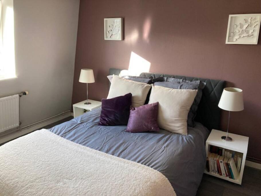Agreable Et Spacieuse Maison Centre Ville Saint-Omer Esterno foto